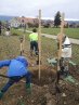 Ateliers Plantations Automne 2021