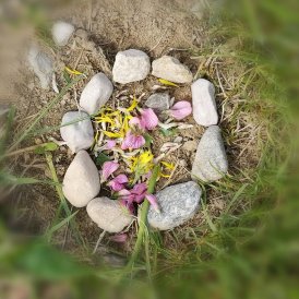 Enfants et Nature