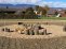 Création du Jardin-forêt d'Eos 2022