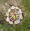 Ateliers Botaniques Printemps 2021
