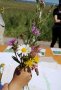 Ateliers Botaniques Printemps 2021