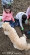 Ateliers Plantations Automne 2020